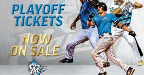 Playoff tickets on sale NOW!